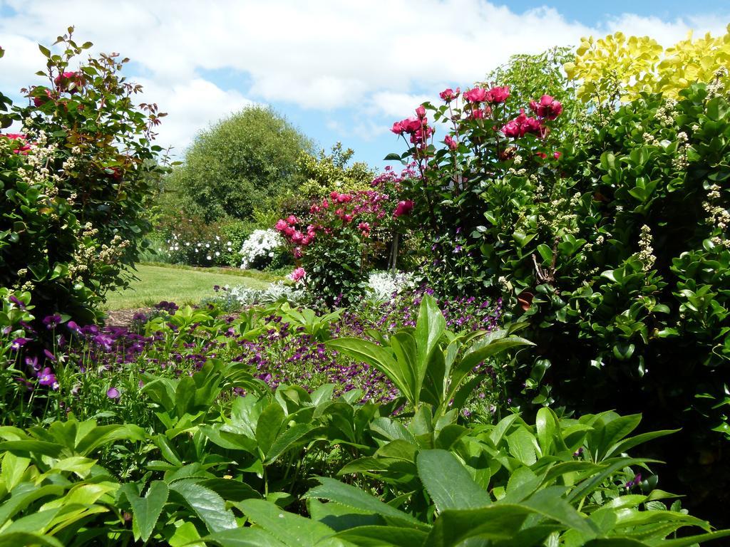 Hadleigh Boutique Lodge Tamahere Dış mekan fotoğraf
