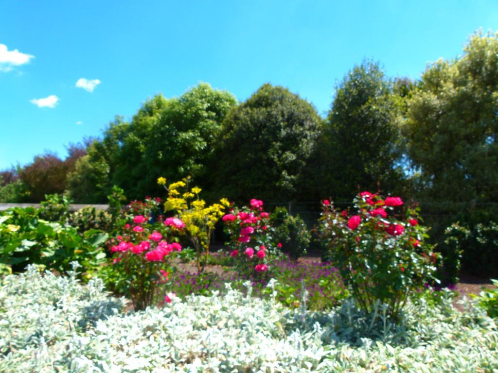 Hadleigh Boutique Lodge Tamahere Dış mekan fotoğraf