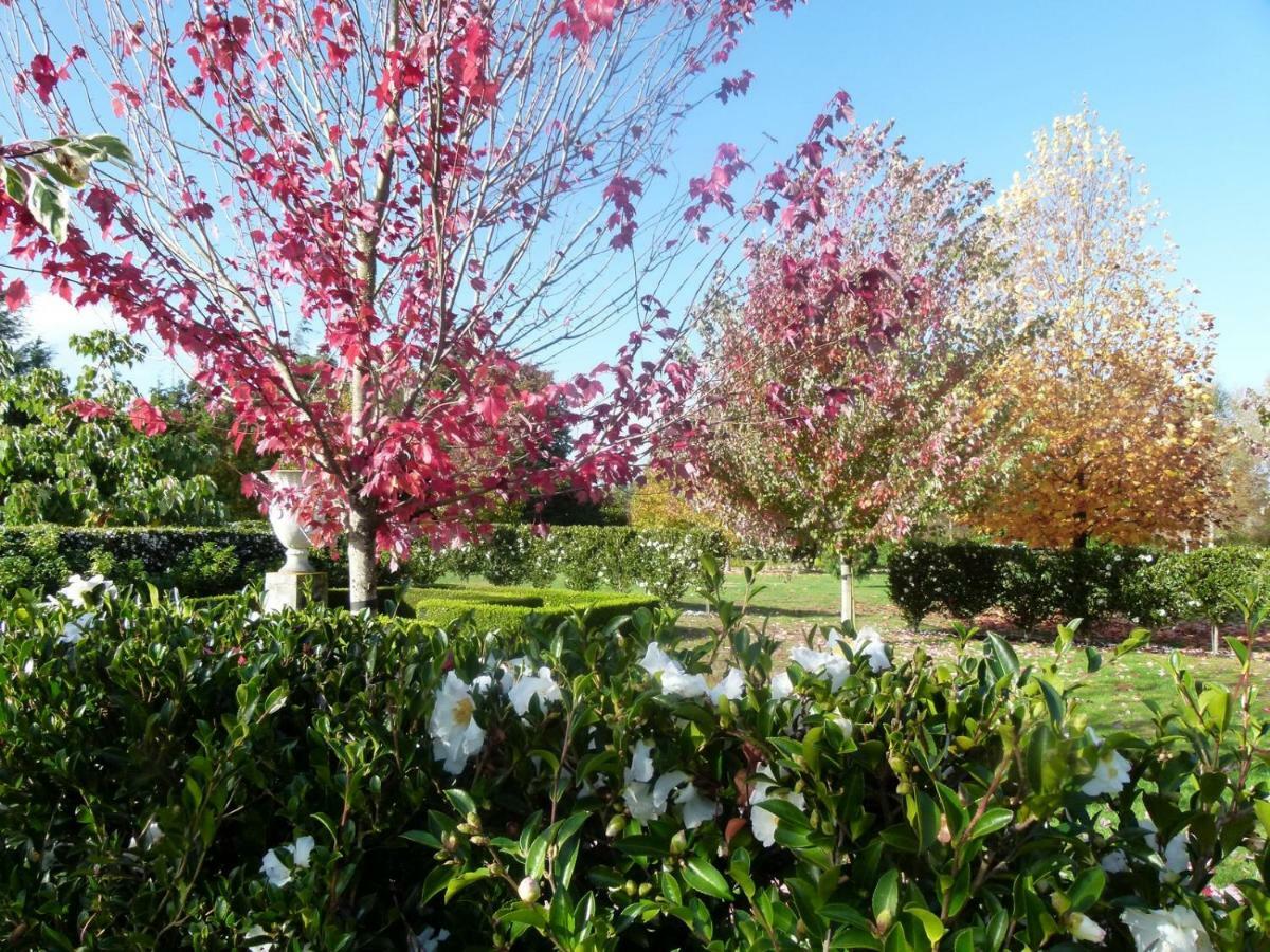 Hadleigh Boutique Lodge Tamahere Dış mekan fotoğraf